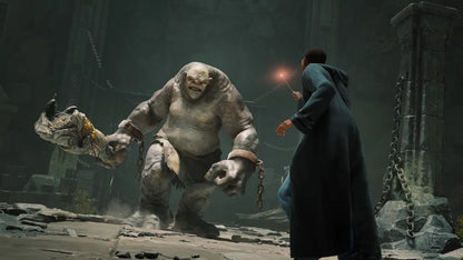 Hogwarts Legacy (PlayStation 4)