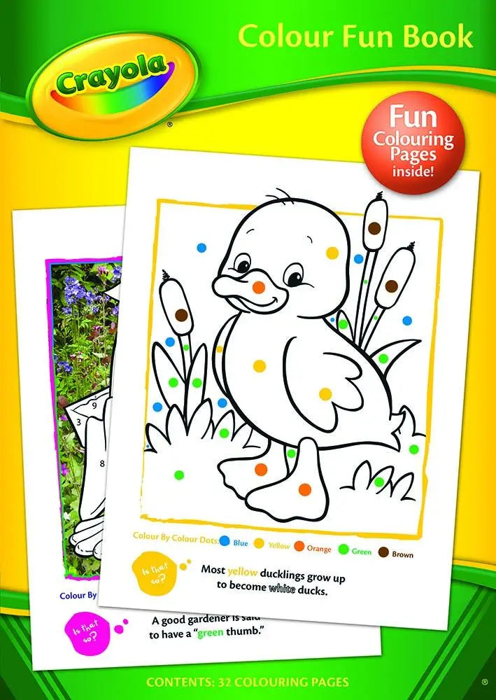 Crayola Colour Fun Activity Book