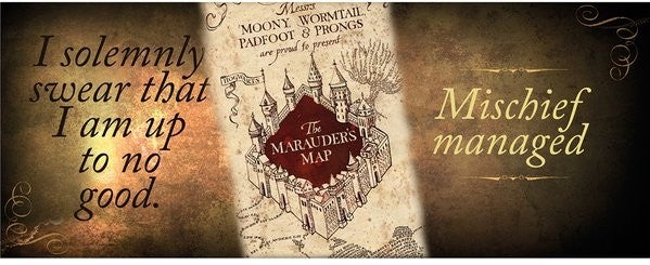 Harry Potter Marauder Map Mug