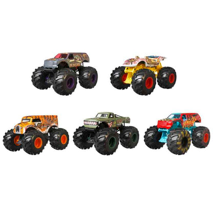 Hot Wheels Monster Trucks 1:24 Assorted