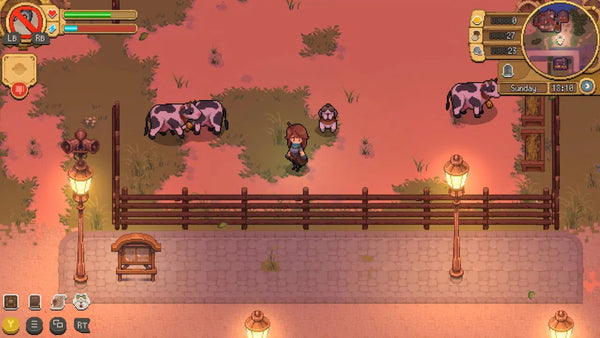 Potion Permit - Complete Edition (PlayStation 5)