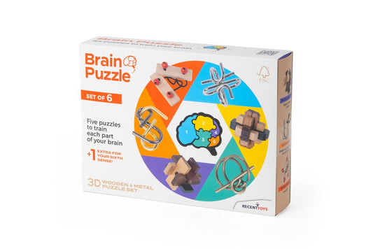Brain Puzzle Set of 6